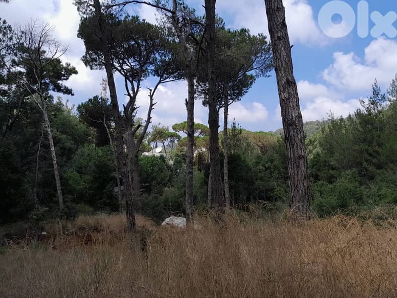 1336 Sqm | Land for sale in Jouret Al Ballout | Mountain view 3