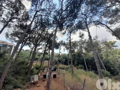 1336 Sqm | Land for sale in Jouret Al Ballout | Mountain view