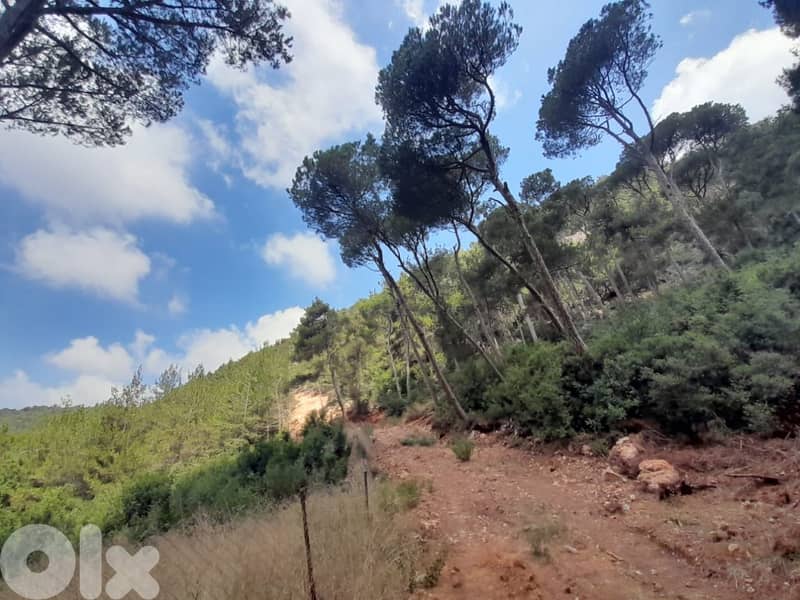 1336 Sqm | Land for sale in Jouret Al Ballout | Mountain view 5