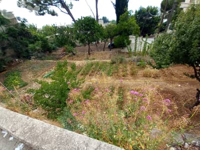 L09762- Amazing land for Sale in The Heart of Ghazir