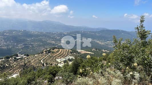 land for sale in aannaya