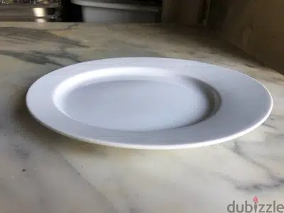 1 Dozen Plates Ovale ( New ! )