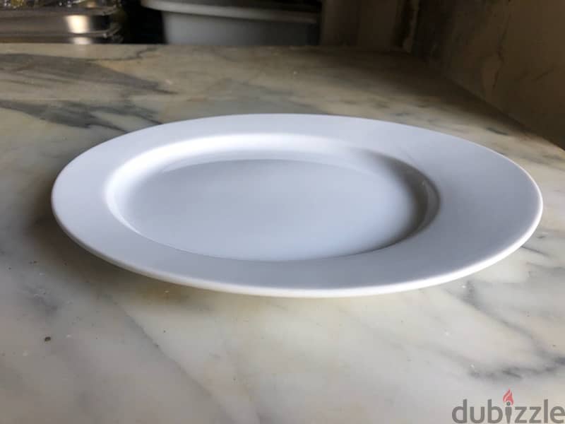 1 Dozen Plates Ovale ( New ! ) 0
