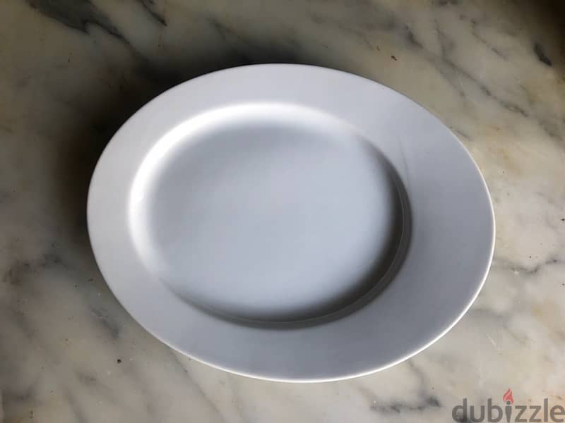 1 Dozen Plates Ovale ( New ! ) 1