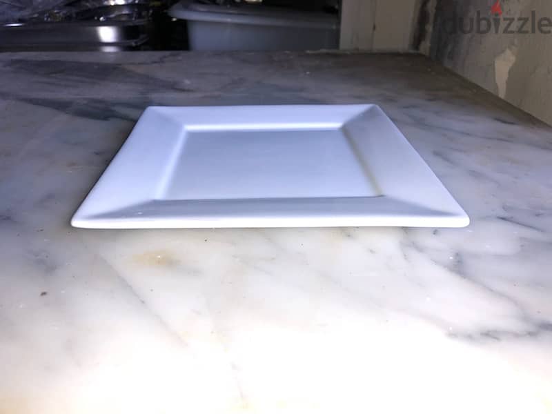 1 Dozen Plates Square( New ! ) 1