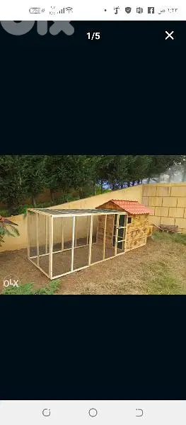 Chicken and Duck cages اقفاص دجاج وبط