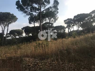Qsaybeh Land for sale (Beautiful mountain and pine view )