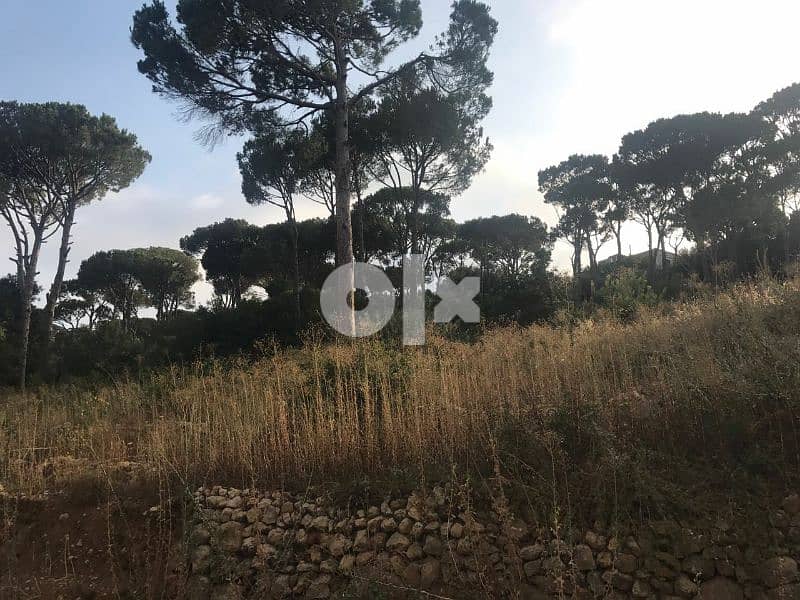 Qsaybeh Land for sale (Beautiful mountain and pine view ) 4