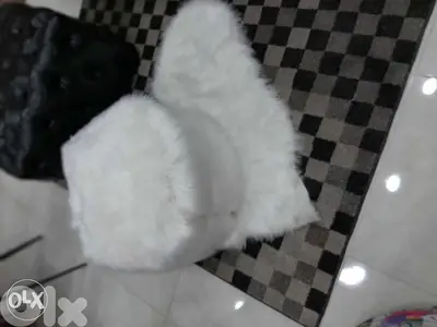 Poooof white