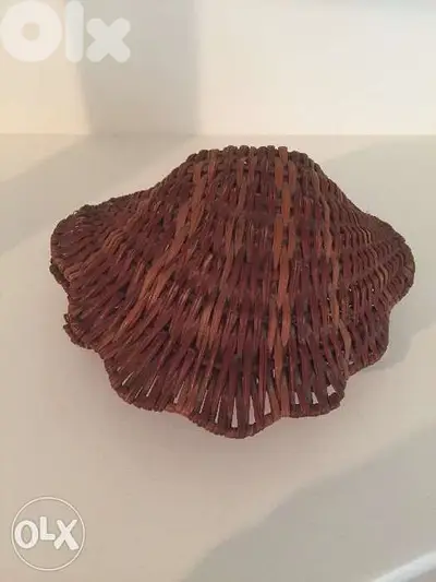 Coquillage en roseau tréssé 5$