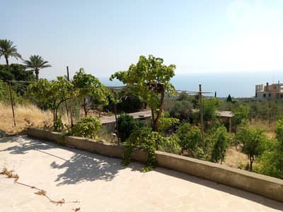 L08214-House with Land for Sale in Berbara