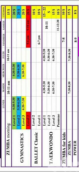 Taekwondo classes in kfarchima and need ballet instructor 1