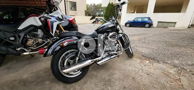 harley davidson xl 1200 cc