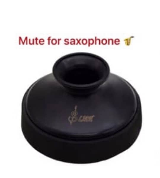 mute and all Accesories for wind instruments 2