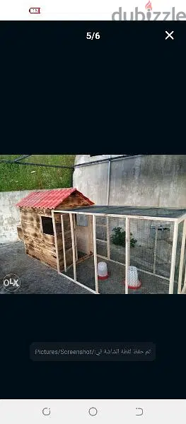 Birds, Rabbits, and Chicken Cages اقفاص دجاج وحمام وارانب