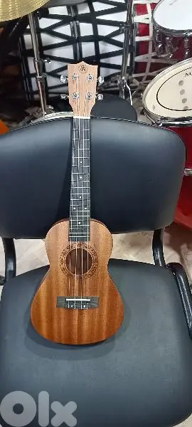 concert ukulele 23"