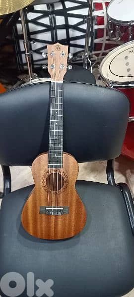 concert ukulele 23" 0