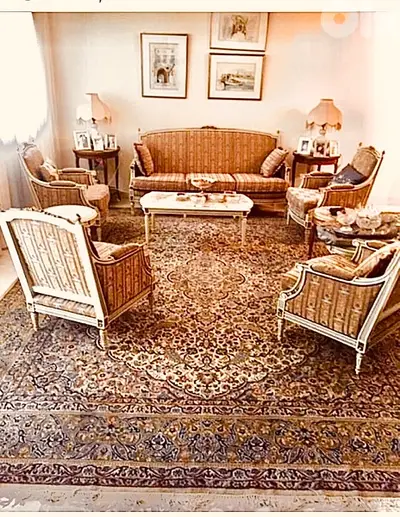 Vintage Louis XVI saloon