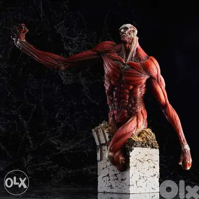 Attack On Titan Ultra Rare Limited Edition Statue Of The Colossus