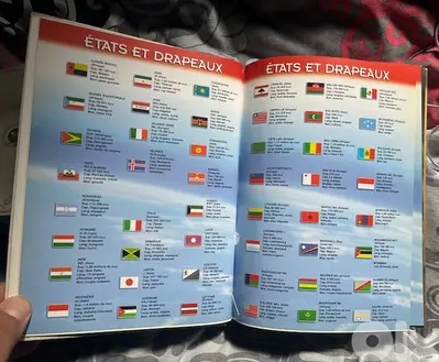 alpha collège dictionnaire French - arabic for 10 USD