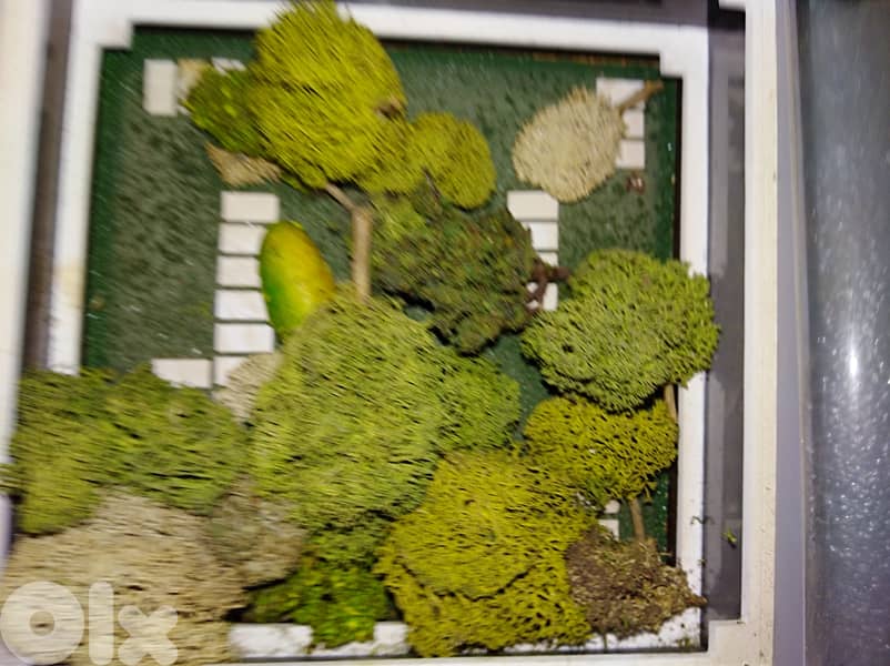 Project for student, architects or engineer or decorateur hand made 7