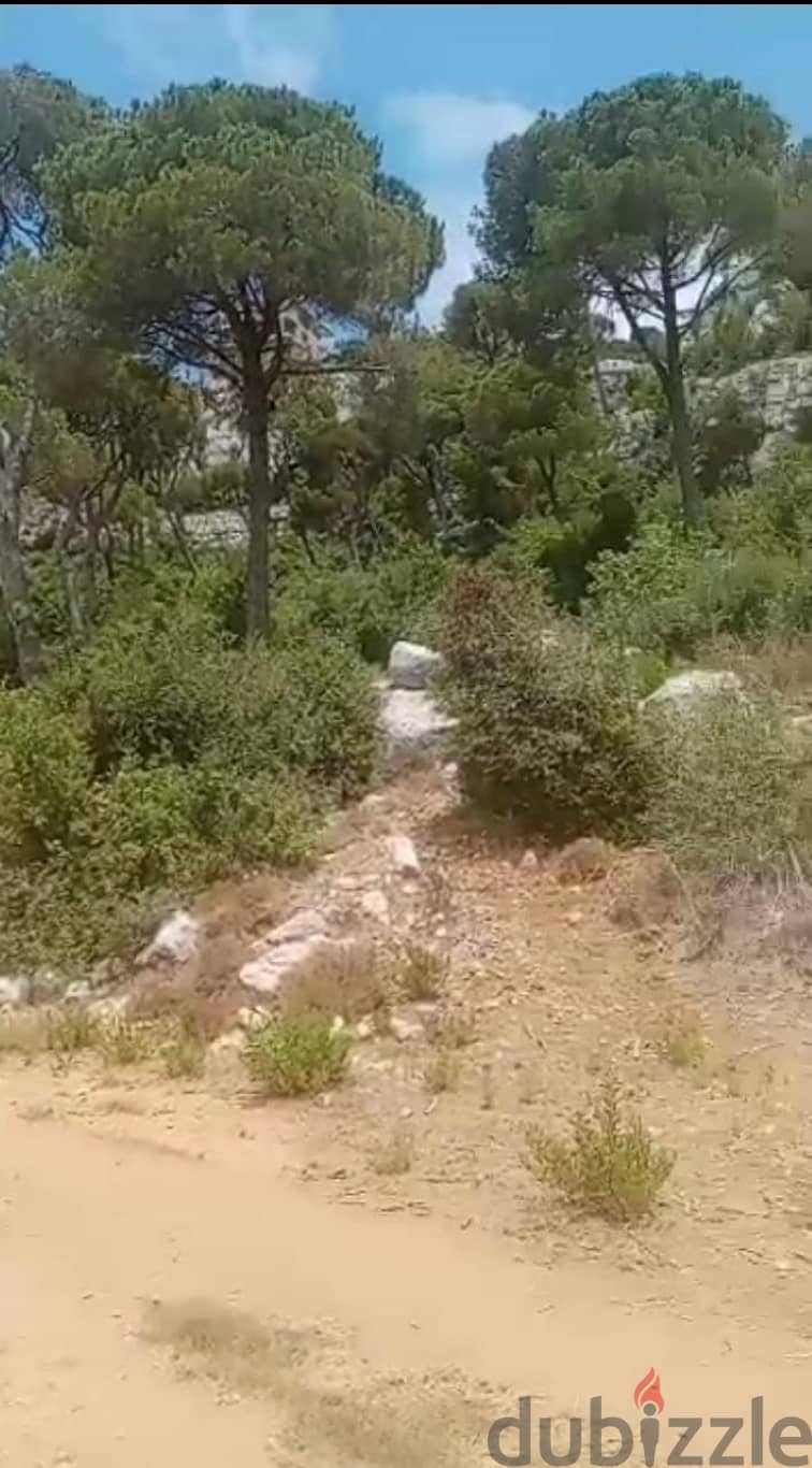 860 Sqm | Land for sale in Ras El Maten 0