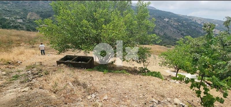 Land for sale in Bkhechtay - Aley (4680m) 0