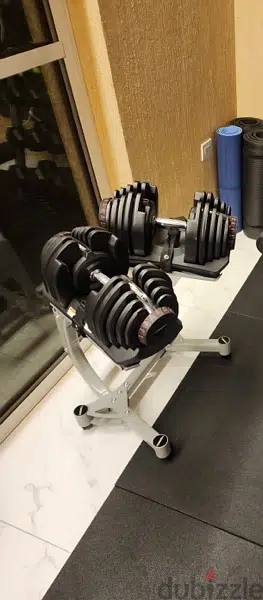 40 kg adjustable dumbells with stand
