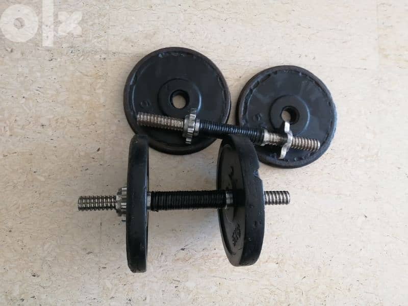 weights, dumbells 1