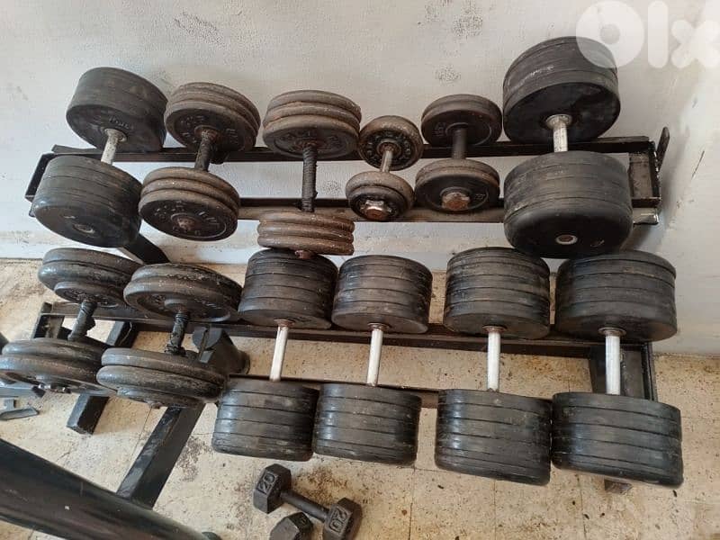 All kind of DUMBBELLS & WEIGHT PLATES NEW & USED 03027072  GEO 2