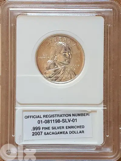 usa coin