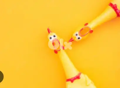 hilarious screaming chicken 5$