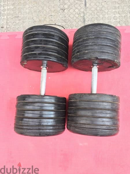 set dumbbells 310 kg in good condition 70/443573 RODGE 5