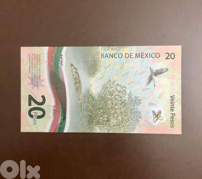 polymer bank note 1