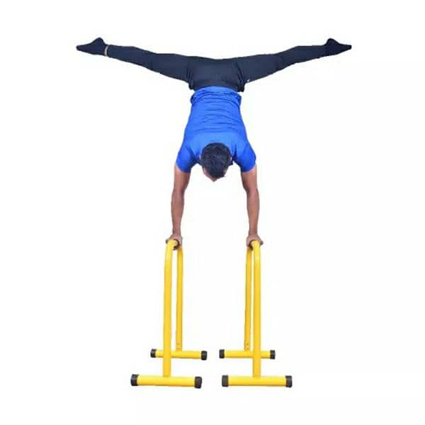 Dips Parrallel Bars 1