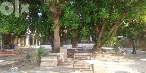 L10753-Spacious 1200 sqm Land for Rent on the Sea-Side Road-Antelias