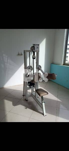 LATERAL RAISE Machine 03027072 0