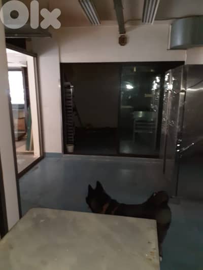 145 Sqm Prime location Fully equipped Shop in Fassouh