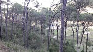 2500SQ Land In Broumana MAR CHAYAA Prime, BRLN-115