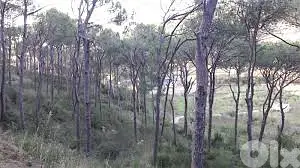 2500SQ Land In Broumana MAR CHAYAA Prime, BRLN-115