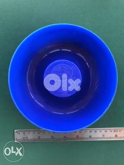 Pringles Chips Plate
