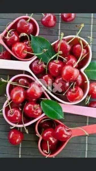 measuring heart shape spoons set 2$