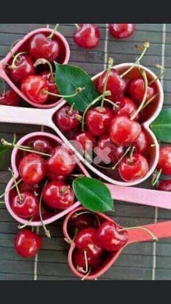 measuring heart shape spoons set 2$ 0