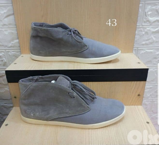 Lacoste shoes size 43 0