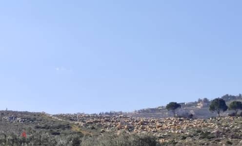 27000 Sqm | Land For Sale in Hasbaya