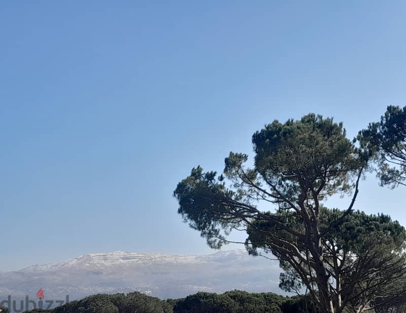 Orchard Land in Douar (Apple, Grapes and Cherry), Metn Overlooking the 0
