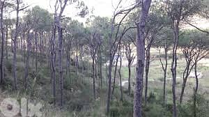 House With 4000Sq Land In Baabdat Mountain View , BDLN-122