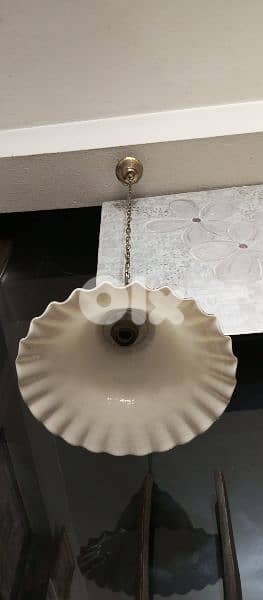 antique 5