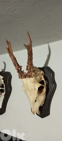 antique
