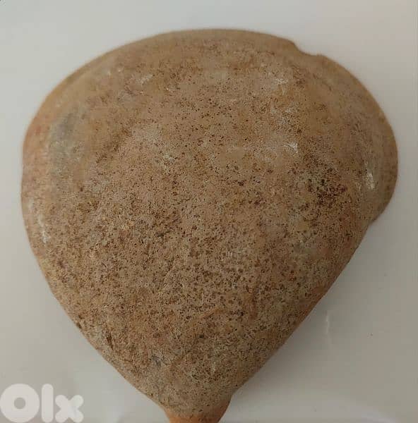 Phoencian Clay Oil lamp from the fifteen century BC 1